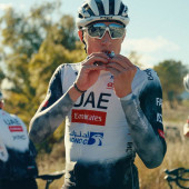 Enervit C2:1PRO Carbo Bar - Brownie