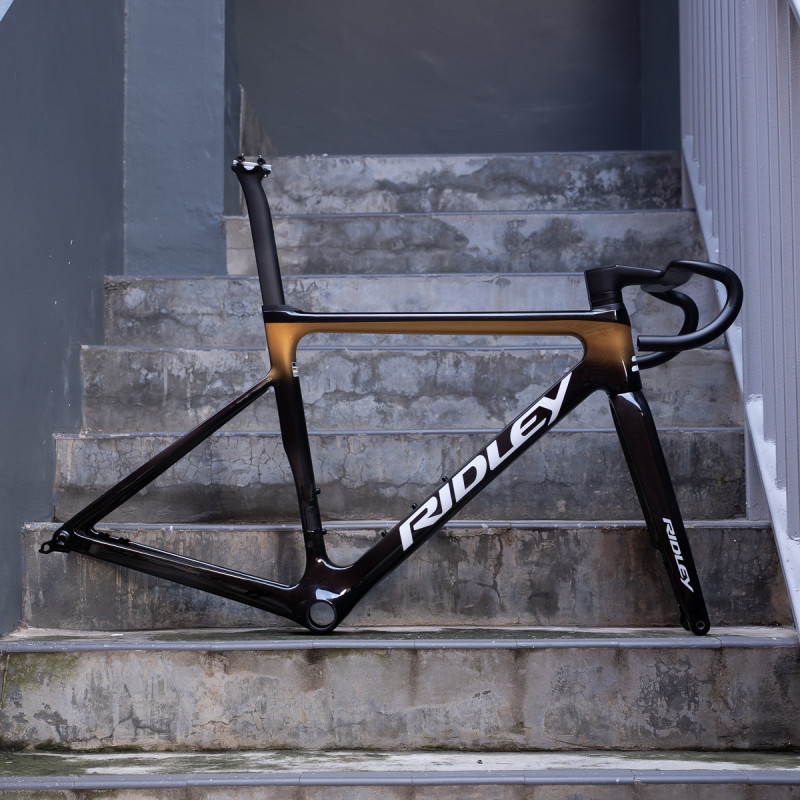 Ridley Falcn RS - Black/Gold