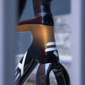 Ridley Falcn RS - Black/Gold