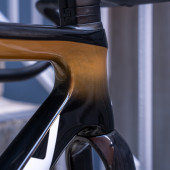 Ridley Falcn RS - Black/Gold