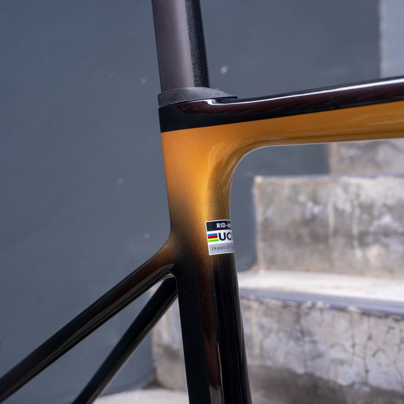 Ridley Falcn RS - Black/Gold