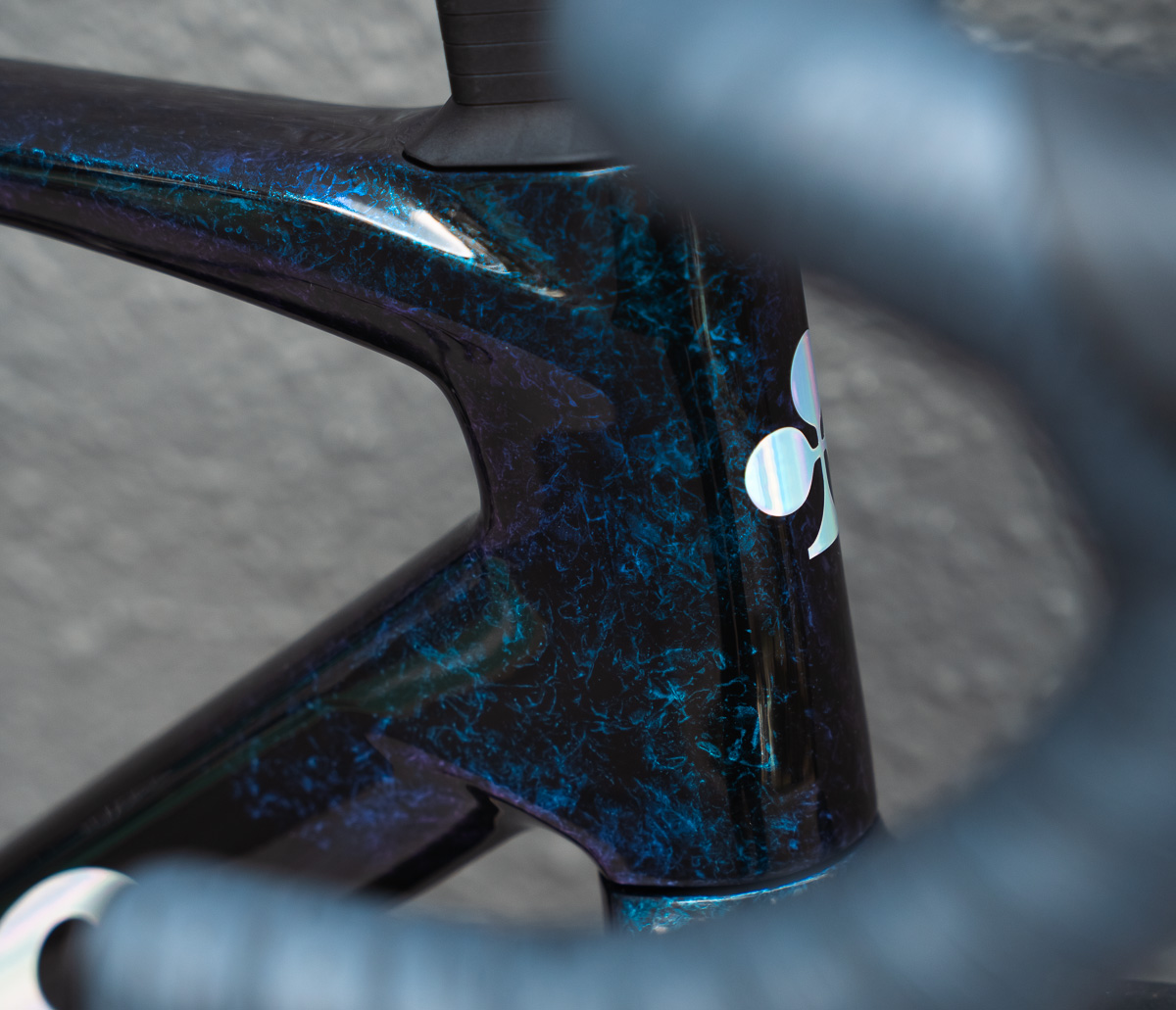 Michelle's New Colnago V5Rs