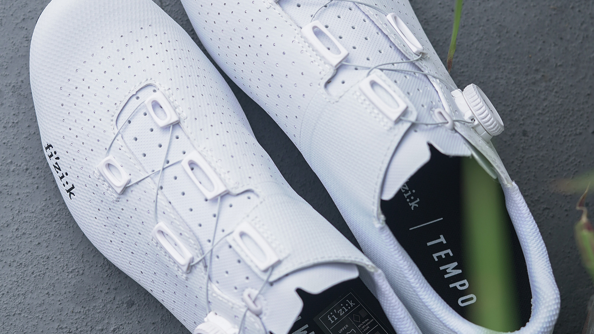 New Arrival: Fizik Decos Carbon Road Shoe