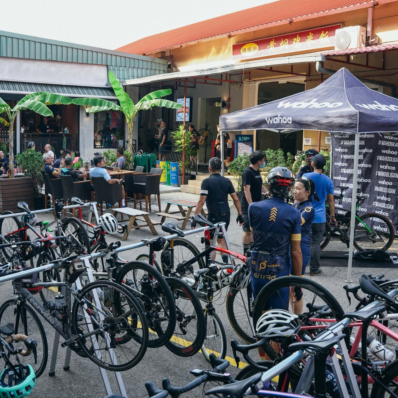 entro-the-social-ride-7