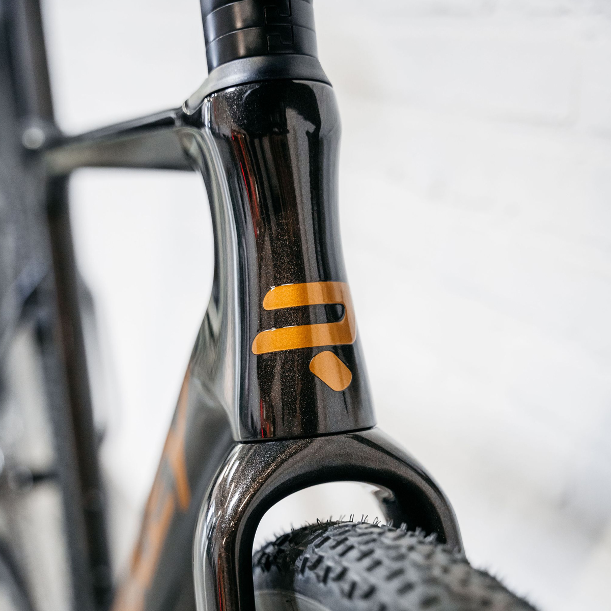 Ridley ASTR Gravel Bike - Metallic Black/ Bronze Gold - Sram Rival AXS XPLR  Wide 1x13